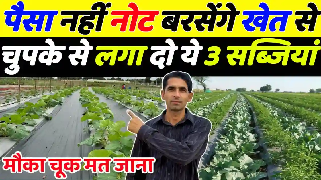 खेती से होगी नोटों की बारिश